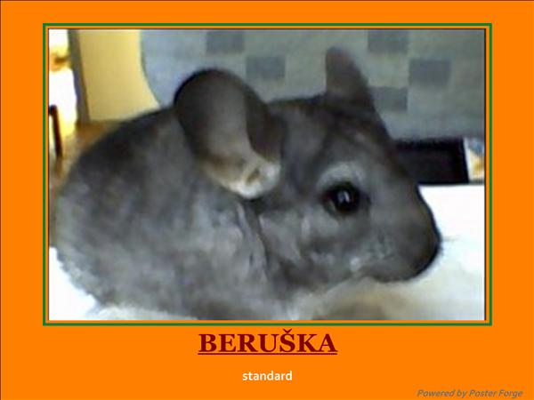 Beruška .1.jpg