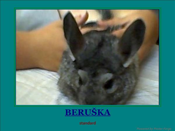 Beruška .2.jpg