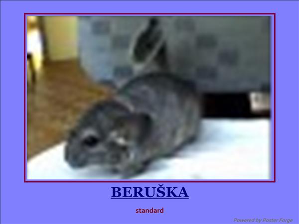 Beruška .3.jpg